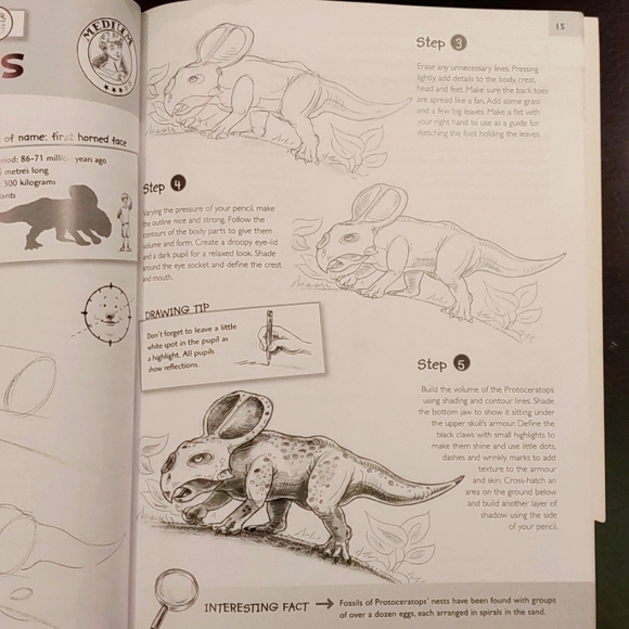 🌻Awesome Things to Draw: Dinosaurs - Picture 5 of 8